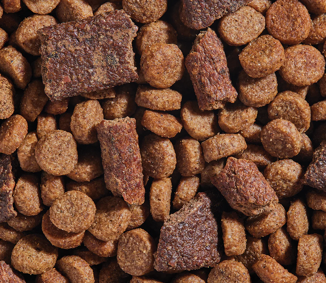 Epic Blend Salmon & Superfood Dry Dog Food - Image 4