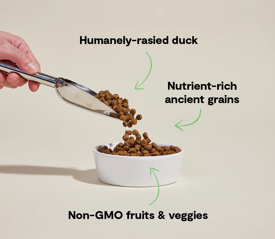 Farmstead Duck Ancient Grains Dog Kibble - Image 4