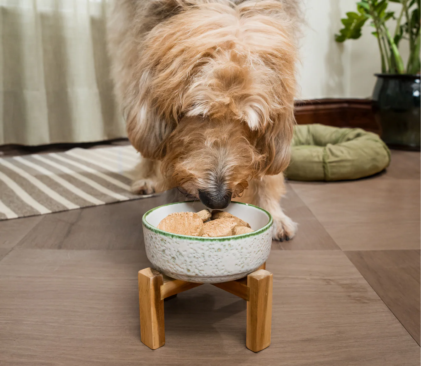 Homestead Turkey Freeze Dried Raw Patties for Dogs - Image 5
