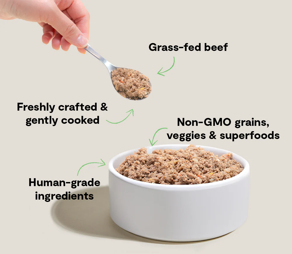 Goodbowl Grass-Fed Beef Freshly Crafted Recipe - Image 4