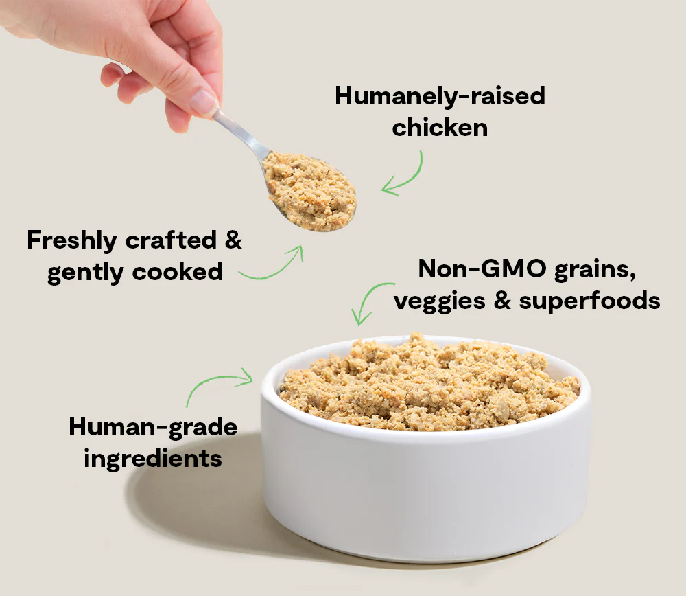 Goodbowl Harvest Chicken Freshly Crafted Recipe - Image 4