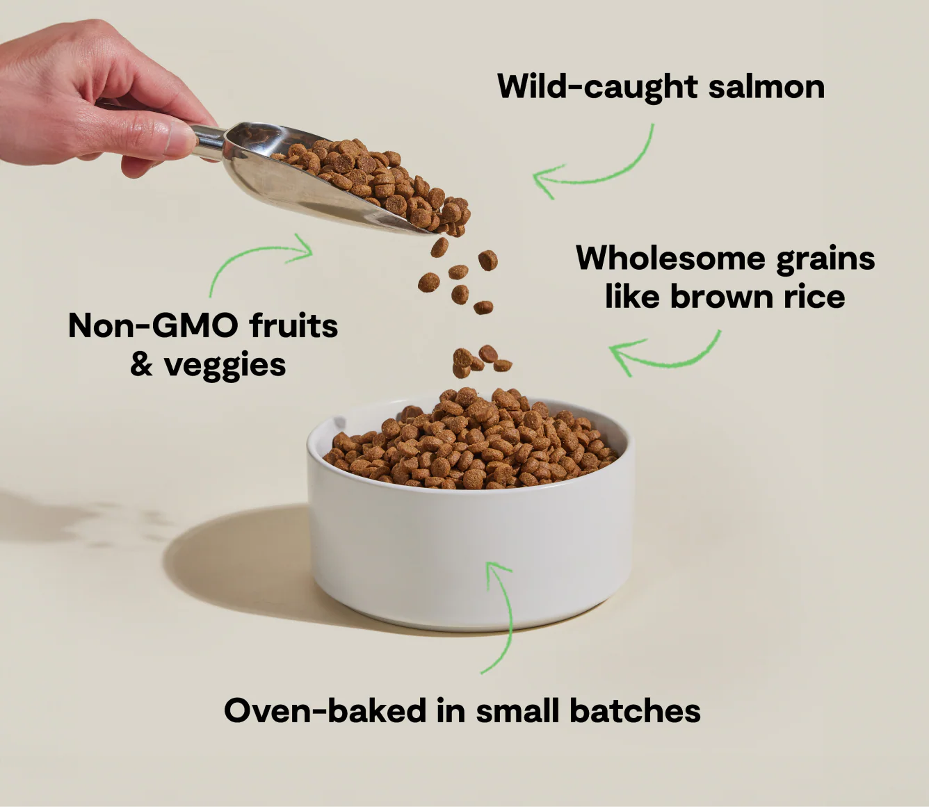 Goodbowl™ Wild-Caught Salmon & Brown Rice Dog Kibble - Image 4