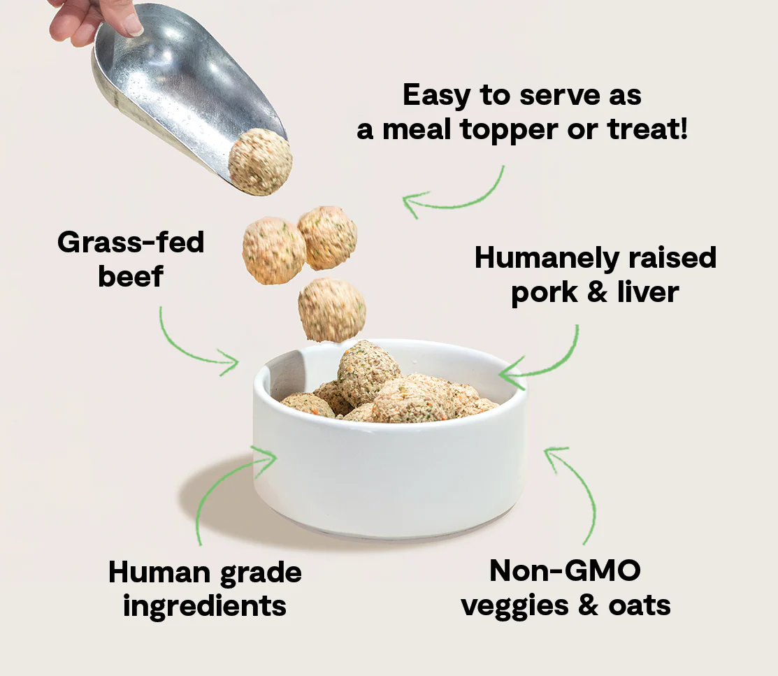 Grass-Fed Beef & Pork Freshly Crafted Meatballs for Dogs - Image 5