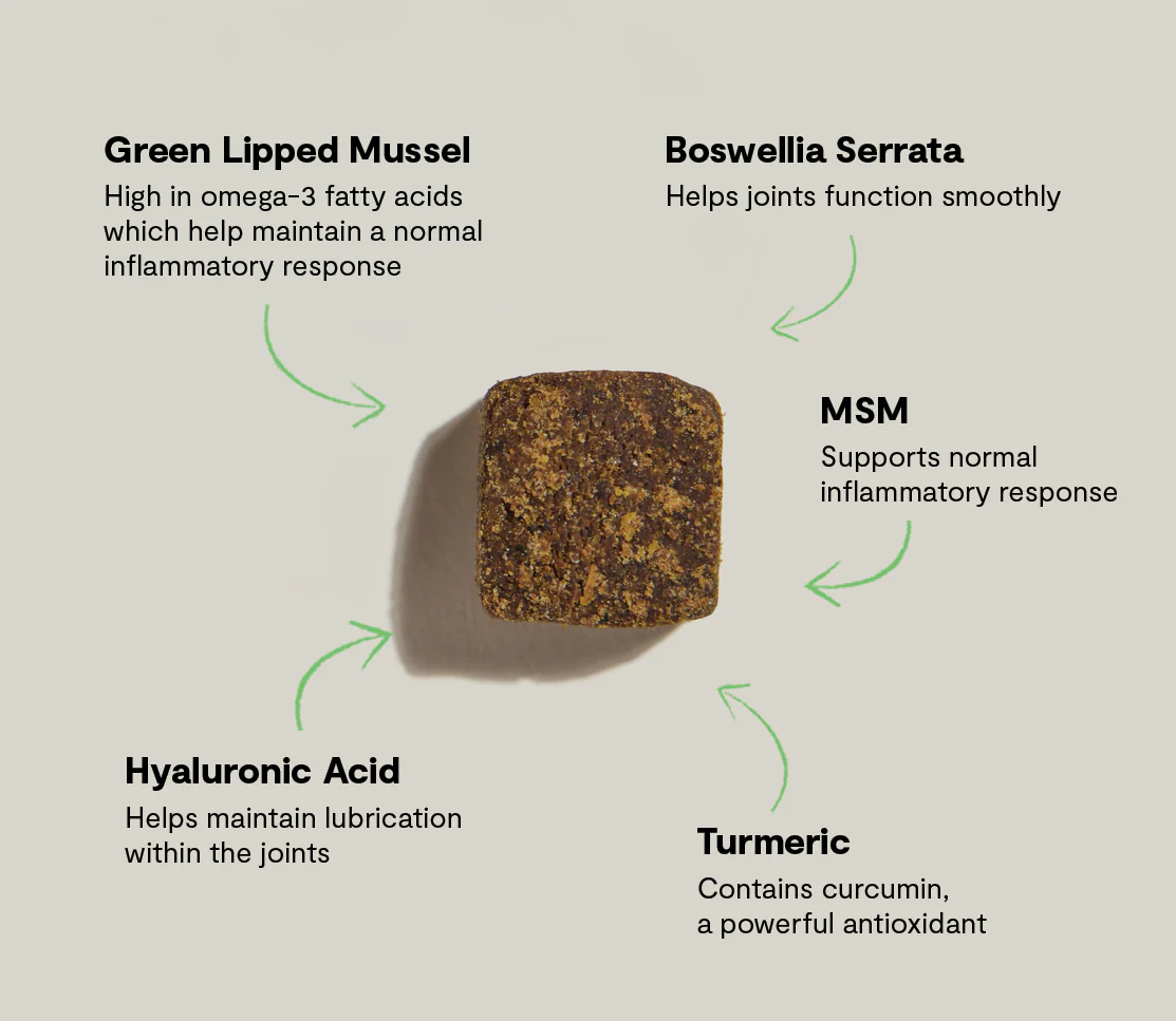 Hip & Joint Supplement Chews for Dogs - Image 5