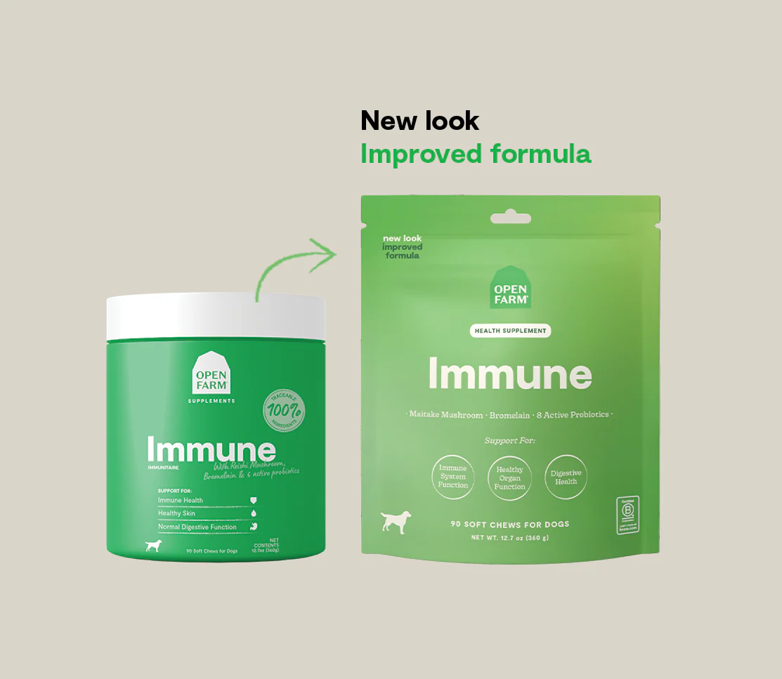 Immune Supplement Chews for Dogs - Image 6