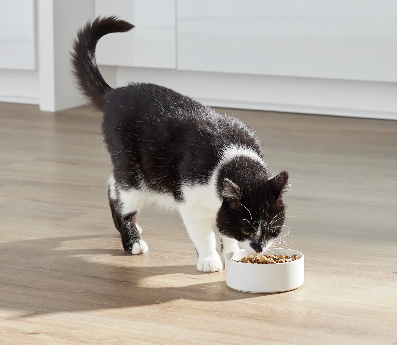 RawMix Open Prairie Grain-Free Cat Kibble - Image 5