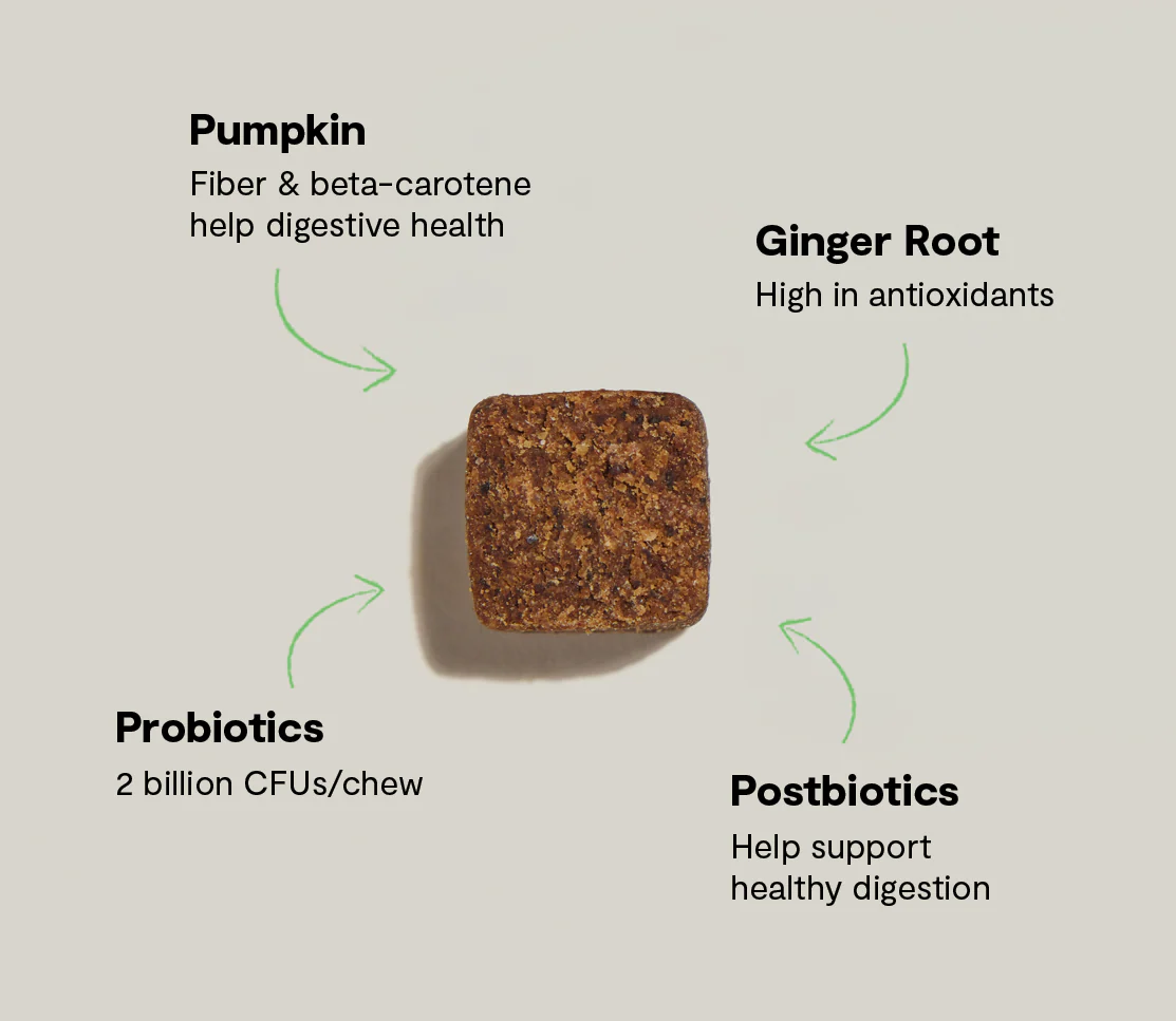 Probiotic Supplement Chews for Dogs - Image 5
