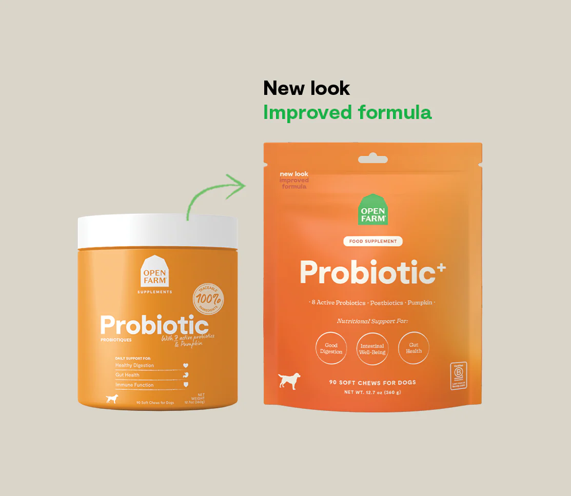 Probiotic Supplement Chews for Dogs - Image 6
