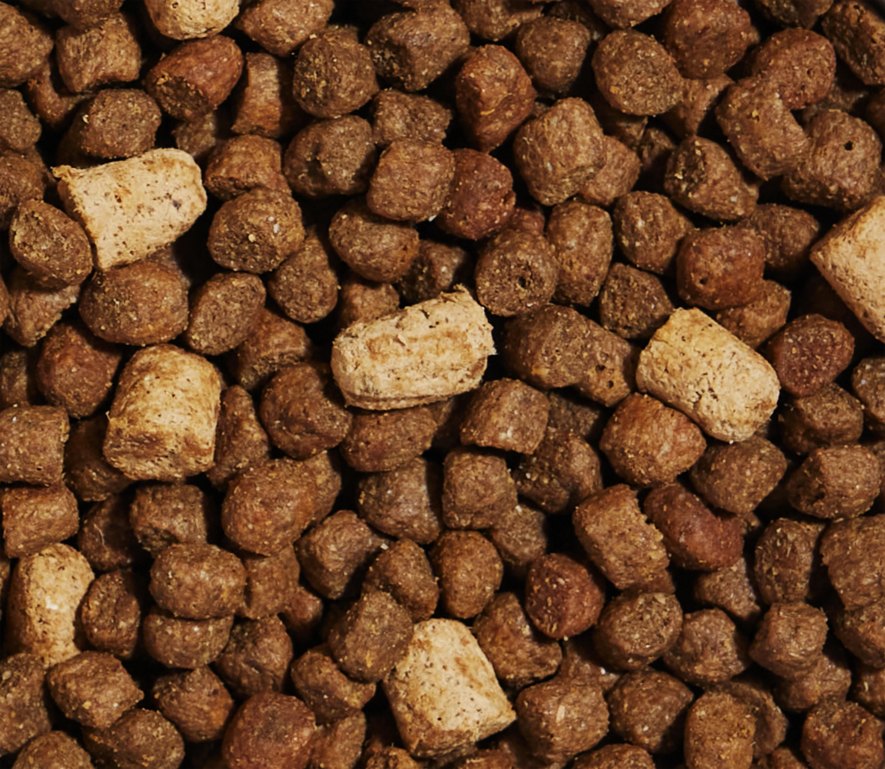 RawMix Ancient Grains Puppy Kibble - Image 5