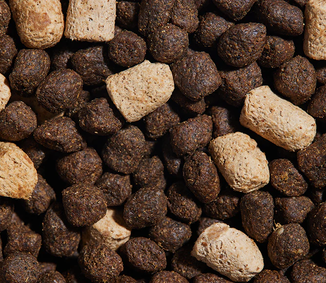 RawMix Great Plains Grain-Free Dog Kibble - Image 5