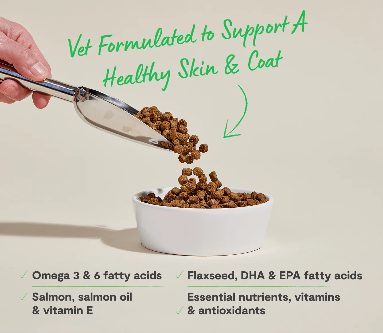 Salmon & Oatmeal Skin & Coat Health Dog Kibble - Image 4