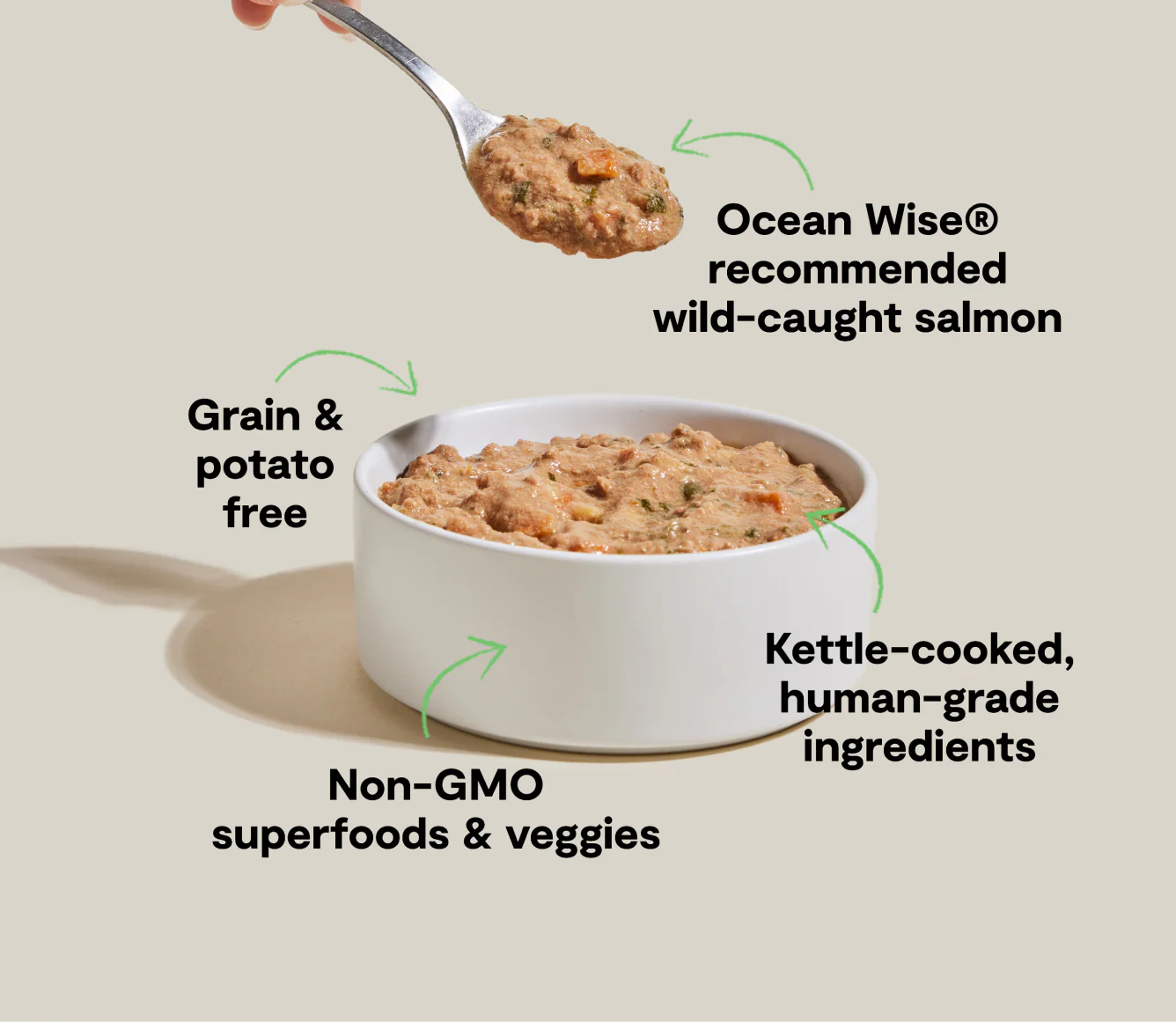 Wild-Caught Salmon Rustic Stew Topper for Dogs - Image 4